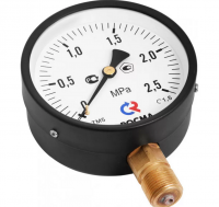 Манометр ТМ-610.Р G1/2, 2,5МПа